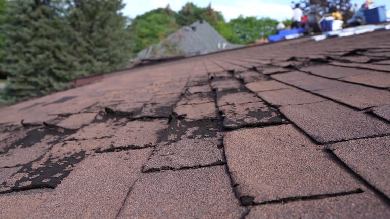 Best Asphalt Shingles Roofing  in West Van Lear, KY